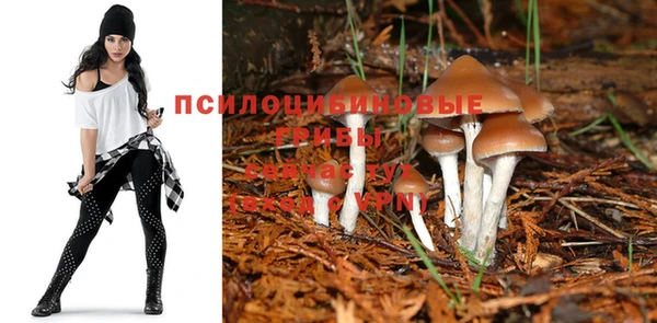 СК Алзамай