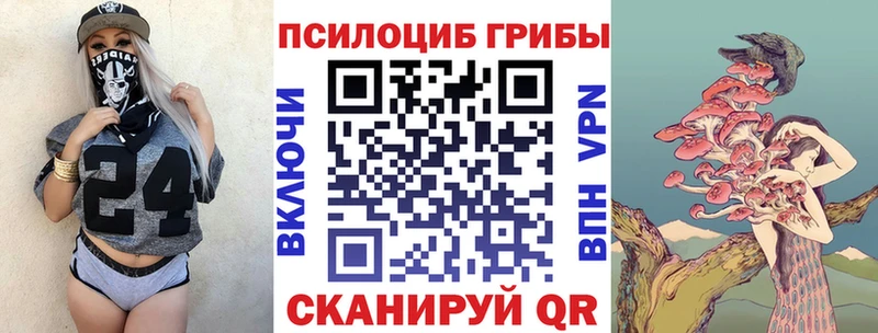 Галлюциногенные грибы MAGIC MUSHROOMS как найти наркотики Сясьстрой
