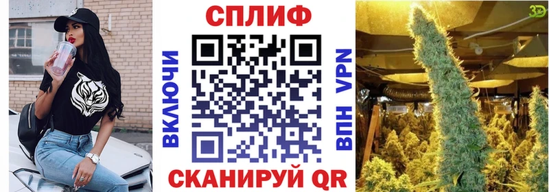 хочу наркоту  Сясьстрой  Шишки марихуана ГИДРОПОН 